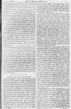 Pall Mall Gazette Friday 07 January 1881 Page 11