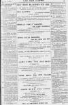 Pall Mall Gazette Friday 07 January 1881 Page 15