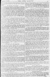 Pall Mall Gazette Saturday 08 January 1881 Page 3