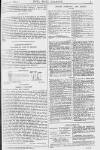 Pall Mall Gazette Tuesday 11 January 1881 Page 5