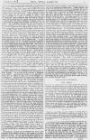 Pall Mall Gazette Tuesday 08 February 1881 Page 11