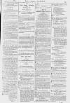 Pall Mall Gazette Thursday 10 February 1881 Page 15