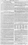 Pall Mall Gazette Friday 11 February 1881 Page 7