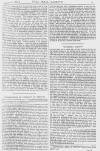 Pall Mall Gazette Friday 11 February 1881 Page 11