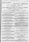 Pall Mall Gazette Friday 11 February 1881 Page 13