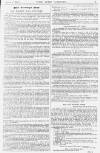 Pall Mall Gazette Tuesday 01 March 1881 Page 7