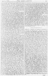 Pall Mall Gazette Thursday 10 March 1881 Page 11