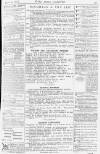 Pall Mall Gazette Thursday 10 March 1881 Page 15