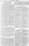 Pall Mall Gazette Saturday 12 March 1881 Page 7