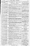 Pall Mall Gazette Wednesday 11 May 1881 Page 15