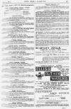 Pall Mall Gazette Friday 13 May 1881 Page 13