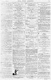 Pall Mall Gazette Friday 03 June 1881 Page 15