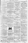 Pall Mall Gazette Friday 10 June 1881 Page 15