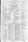Pall Mall Gazette Thursday 04 August 1881 Page 15