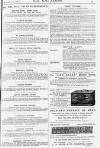 Pall Mall Gazette Friday 11 November 1881 Page 13