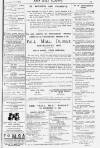 Pall Mall Gazette Friday 11 November 1881 Page 15