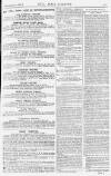 Pall Mall Gazette Saturday 26 November 1881 Page 13