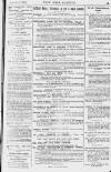 Pall Mall Gazette Monday 06 February 1882 Page 15