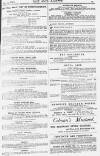 Pall Mall Gazette Thursday 13 July 1882 Page 13