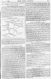 Pall Mall Gazette Monday 12 March 1883 Page 11