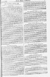 Pall Mall Gazette Friday 06 April 1883 Page 7