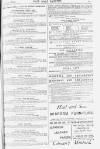 Pall Mall Gazette Friday 06 April 1883 Page 13