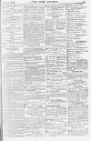 Pall Mall Gazette Friday 06 April 1883 Page 15