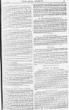 Pall Mall Gazette Thursday 19 April 1883 Page 11