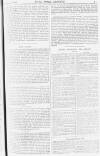 Pall Mall Gazette Thursday 26 April 1883 Page 5