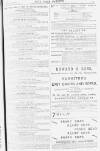 Pall Mall Gazette Thursday 26 April 1883 Page 13