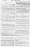 Pall Mall Gazette Friday 02 November 1883 Page 7