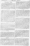Pall Mall Gazette Monday 05 November 1883 Page 3