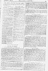 Pall Mall Gazette Saturday 10 November 1883 Page 11