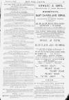 Pall Mall Gazette Wednesday 05 December 1883 Page 13