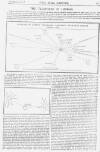 Pall Mall Gazette Thursday 06 December 1883 Page 11