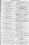 Pall Mall Gazette Friday 04 January 1884 Page 13