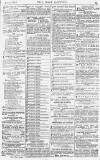 Pall Mall Gazette Wednesday 04 June 1884 Page 15