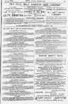 Pall Mall Gazette Monday 23 June 1884 Page 13