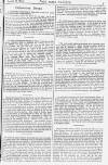 Pall Mall Gazette Friday 31 October 1884 Page 3