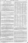 Pall Mall Gazette Friday 31 October 1884 Page 7