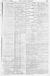 Pall Mall Gazette Monday 29 December 1884 Page 15