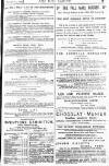Pall Mall Gazette Saturday 05 September 1885 Page 13