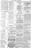 Pall Mall Gazette Tuesday 24 November 1885 Page 15