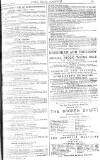 Pall Mall Gazette Tuesday 05 January 1886 Page 13