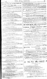 Pall Mall Gazette Tuesday 12 January 1886 Page 13