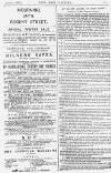 Pall Mall Gazette Thursday 06 January 1887 Page 11
