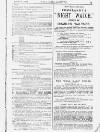 Pall Mall Gazette Wednesday 19 January 1887 Page 13