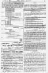 Pall Mall Gazette Friday 11 February 1887 Page 13