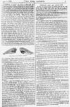Pall Mall Gazette Friday 15 April 1887 Page 3