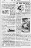 Pall Mall Gazette Saturday 02 July 1887 Page 5